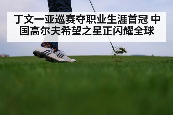 丁文一亚巡赛夺职业生涯首冠 中国高尔夫希望之星正闪耀全球